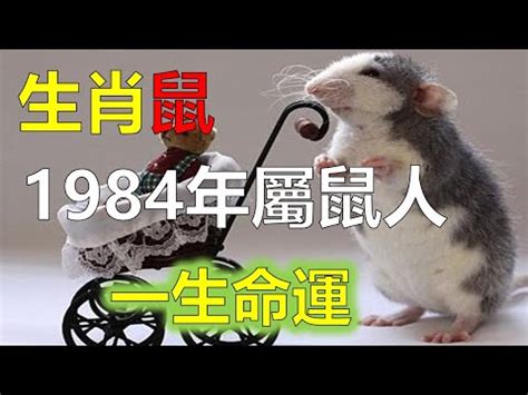 木鼠之命|【1984年五行】揭曉！1984年五行屬什麼？鼠年的你五行命運大。